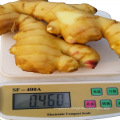 China Wholesale organic fresh ginger root price